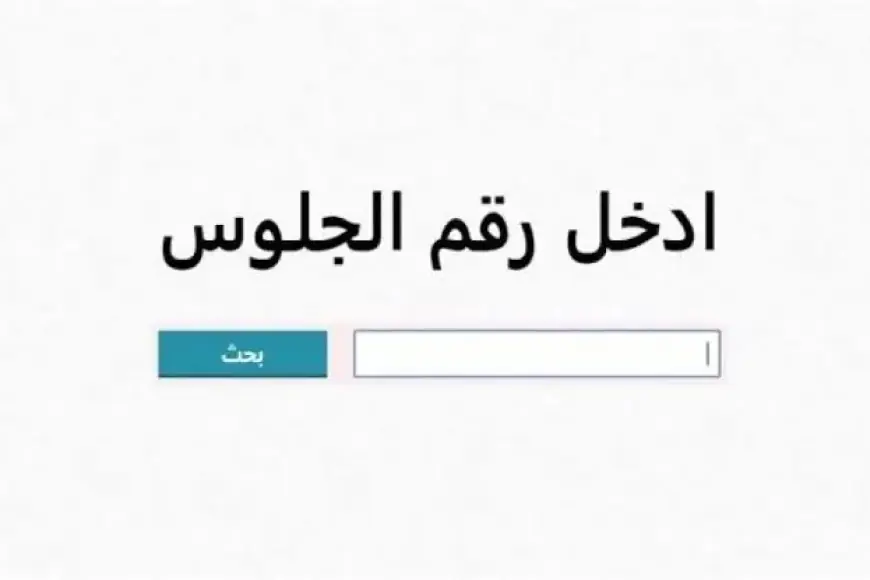 نتيجة الصف الرابع والخامس والسادس الابتدائي 2025 برقم الجلوس في كل محافظات مصر وفق بيان وزارة التربية والتعليم