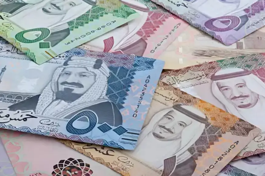 سعر الريال السعودي اليوم في البنوك والسوق السوداء مقابل الجنية المصري الاحد 29 ديسمبر 2024