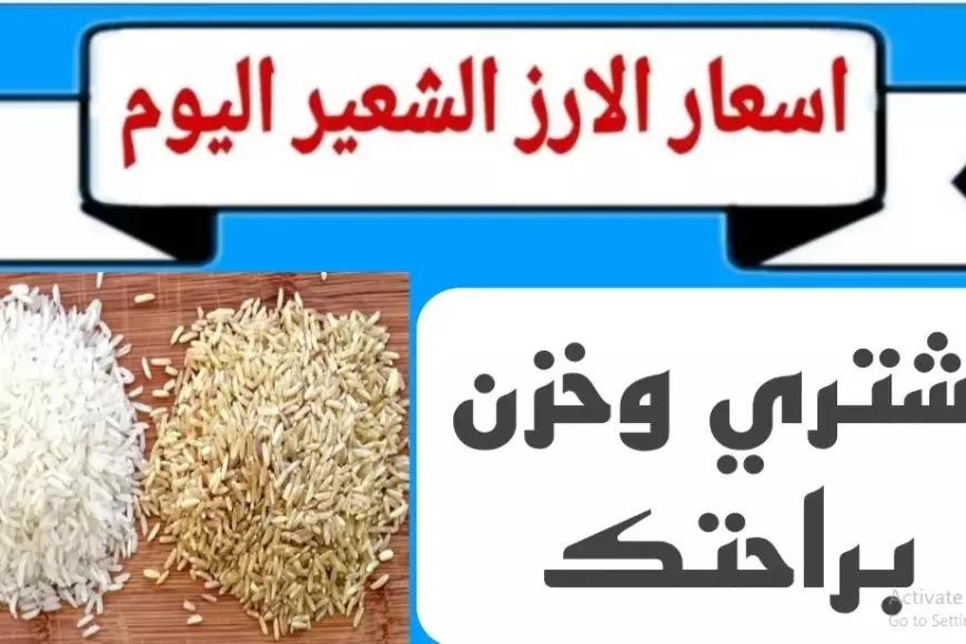 عريض ورفيع الحبه.. سعر طن الأرز الشعير اليوم السبت 11 يناير 2025 للمستهلك واسعار السلع الغذائية