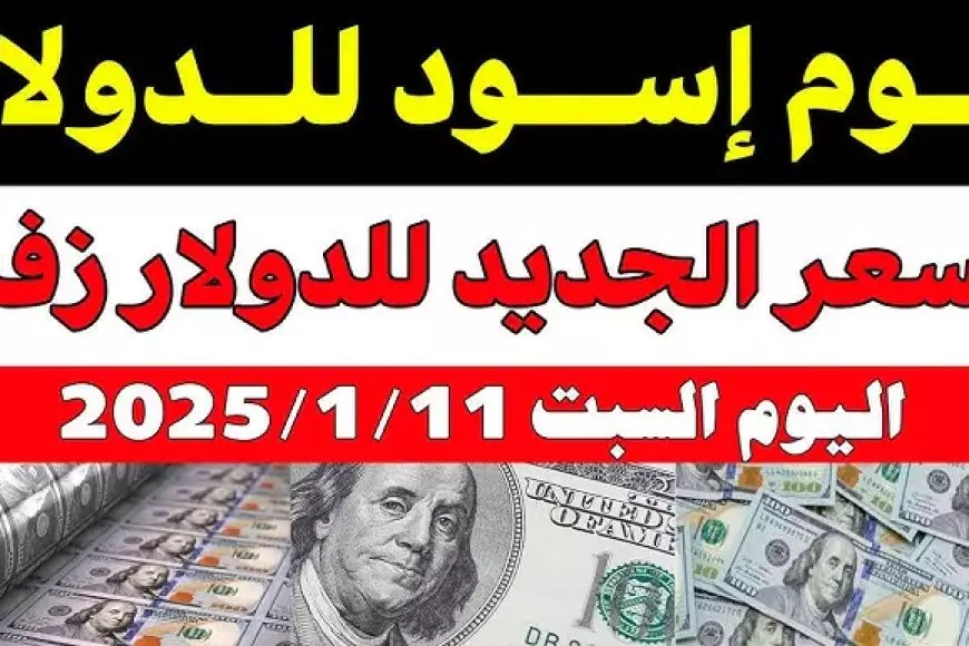 سوق موازية.. سعر الدولار اليوم في مصر تحديث يومي للبيع والشراء بالبنوك والسوق السوداء