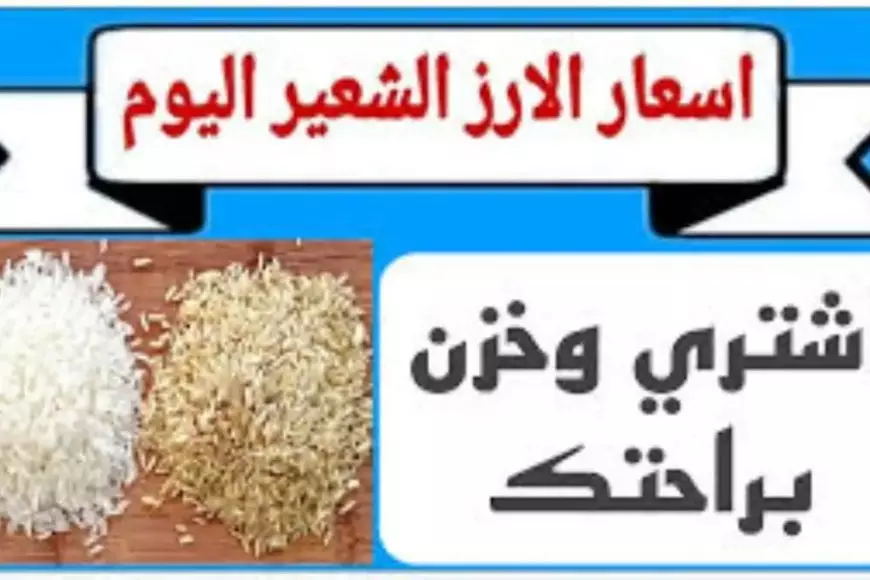 العريض بكام؟.. سعر طن الأرز الشعير اليوم في الأسواق المحلية للمستهلكين الاربعاء 15 يناير 2025