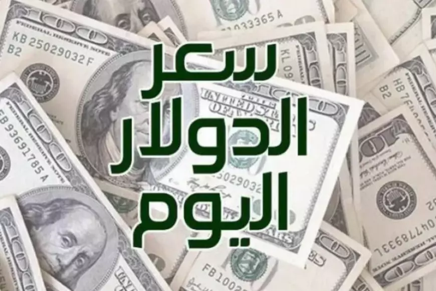 سعر الدولار اليوم في السوق السوداء والبنوك مقابل الجنيه المصري الاثنين 20 يناير 2025