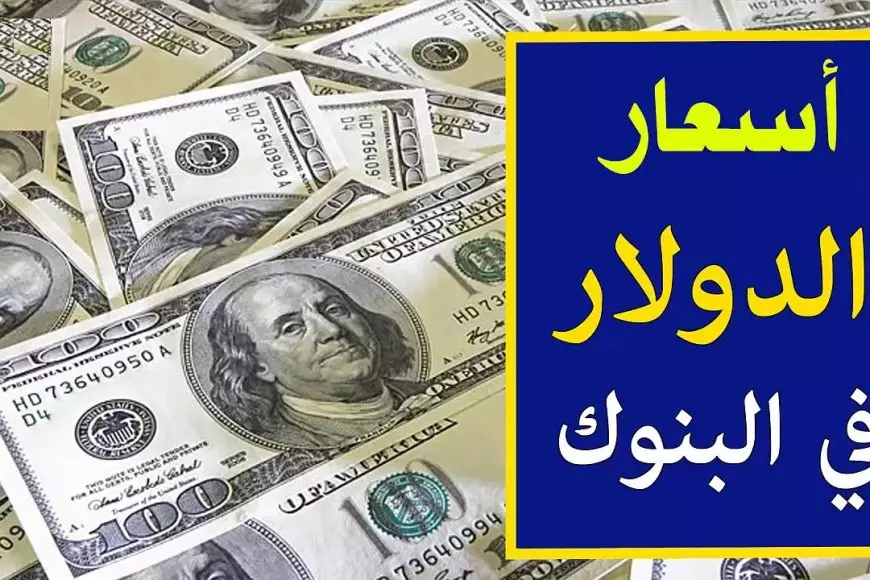 سعر الدولار اليوم في السوق السوداء مقابل الجنيه المصري الاربعاء 15 يناير 2025 تحديث للشراء و للبيع