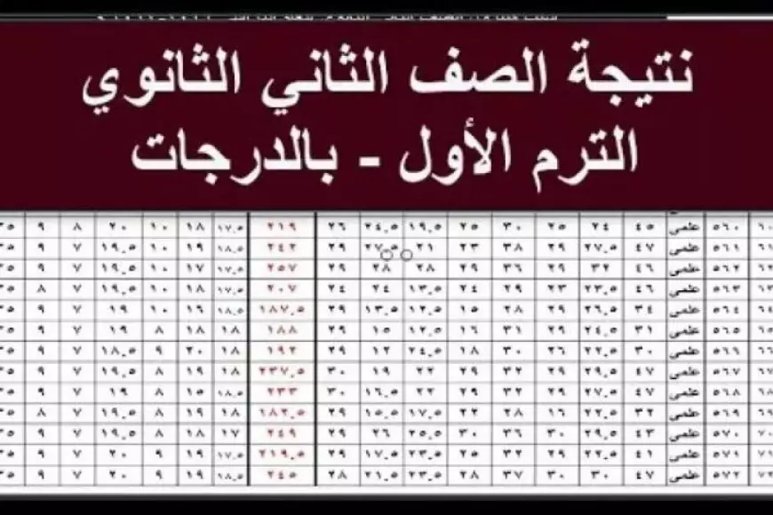 موقع وزارة التربية والتعليم نتيجة الصف الأول والثاني الثانوي 2025 عبر eduserv.cairo.gov.eg