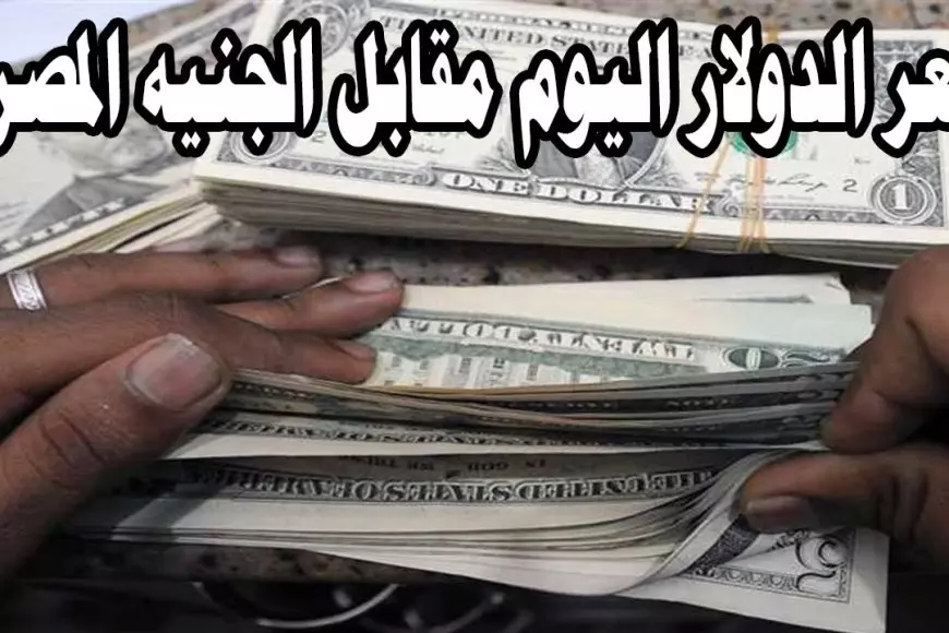 سعر الدولار اليوم في السوق السوداء مقابل الجنيه المصرى الاحد 19 يناير 2025اسعار الدولار في البنوك المصرية