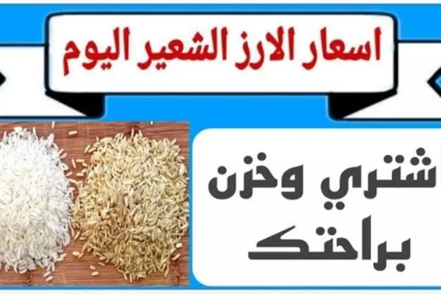 الرفيع والعريض.. سعر طن الأرز الشعير اليوم الاثنين 20 يناير 2025 في مصر