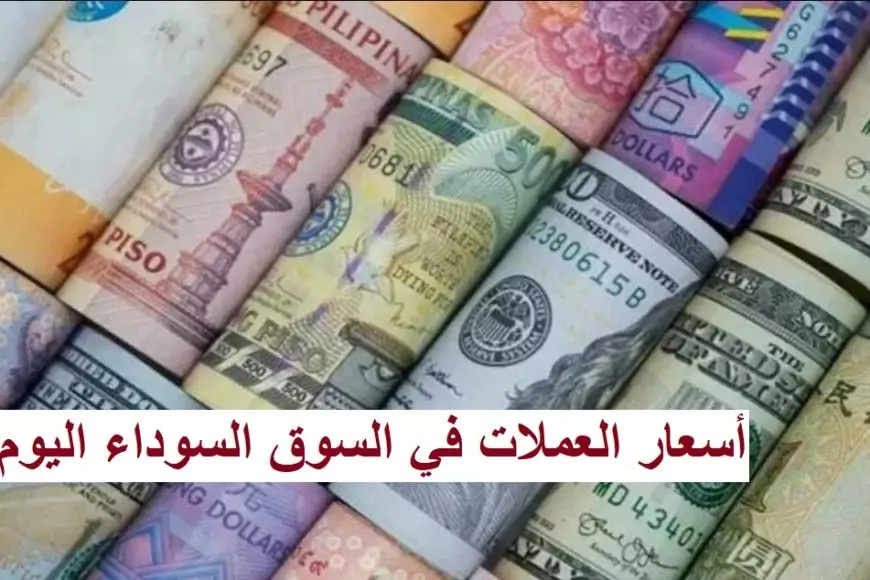 سعر الدولار اليوم مقابل الجنيه المصري في السوق السوداء الاحد 19-1-2025  اسعار العملات في البنوك