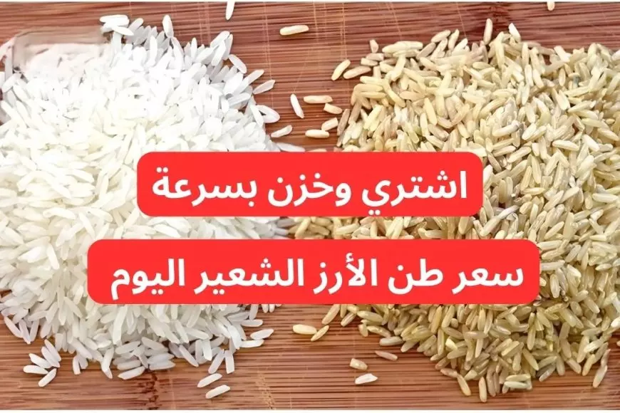 سعر طن الأرز الشعير اليوم في مصر الثلاثاء 21-1-2025 يتراجع بأكثر من 800 جنيه