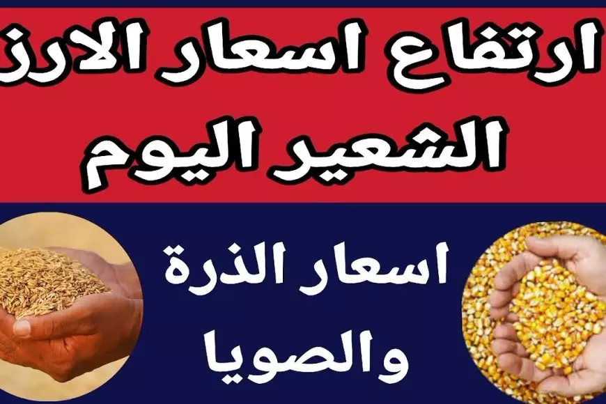 سعر طن الأرز الشعير اليوم الأربعاء بتاريخ 22 يناير 2025 اسعار السلع الغذائية في كافة الأسواق للمستهلك