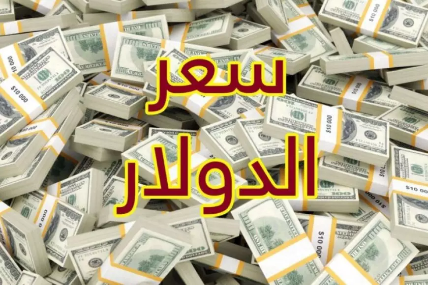 انخفاض سعر الدولار اليوم مقابل الجنيه المصري في البنوك الثلاثاء 21 يناير 2025 سعر الدولار في السوق السوداء