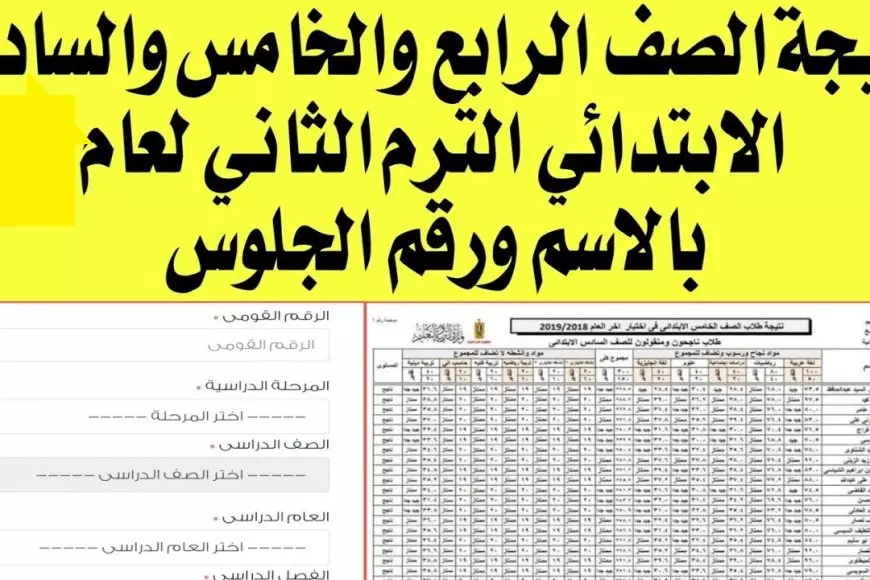 بالتوفيق للطلاب.. نتيجة الصف الثالث والرابع والخامس الابتدائي 2025 للفصل الدراسي الترم الاول