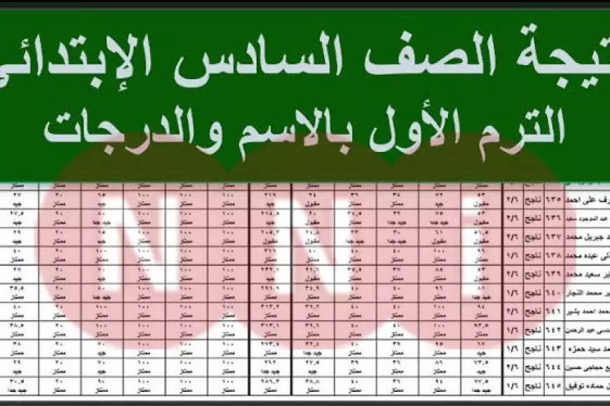 رابط النتائج.. نتيجة الصف السادس الابتدائي 2025 بالاسم ورقم الجلوس عبر eduserv.cairo.gov.eg  موقع وزارة التربية والتعليم