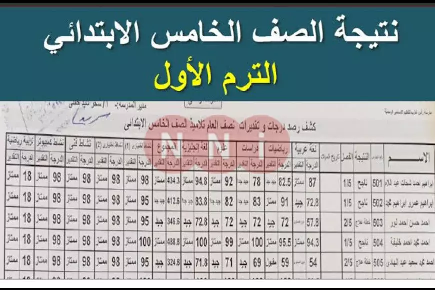 لينك مباشر.. نتيجة الصف الخامس الابتدائي برقم الجلوس 2025 وبالاسم عبر بوابة التعليم الأساسي بجميع المحافظات