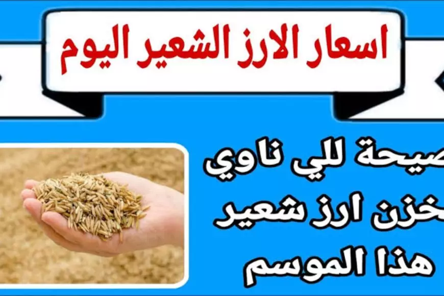 رفيع وعريض الحبه.. سعر طن الأرز الشعير اليوم الجمعة 24 يناير 2025 أسعار السلع الأساسية للمستهلك داخل الاسواق المصرية