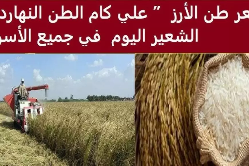 سعر طن الأرز الشعير اليوم الثلاثاء 28 يناير 2025 اسعار السلع الغذائية في مصر في المحلات