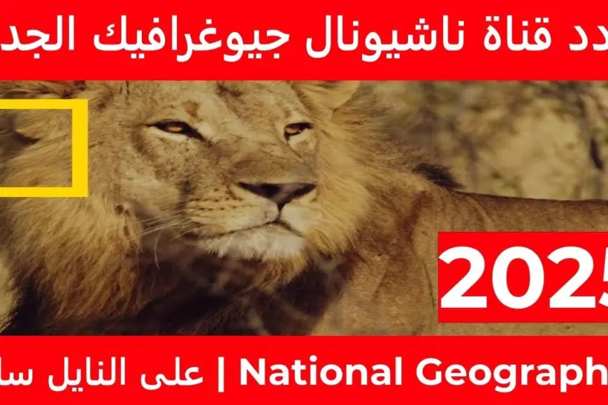 بجودة عالية HD.. تردد قناة ناشيونال جيوغرافيك 2025 National Geographic لمُتابعة أروع الوثائقيات