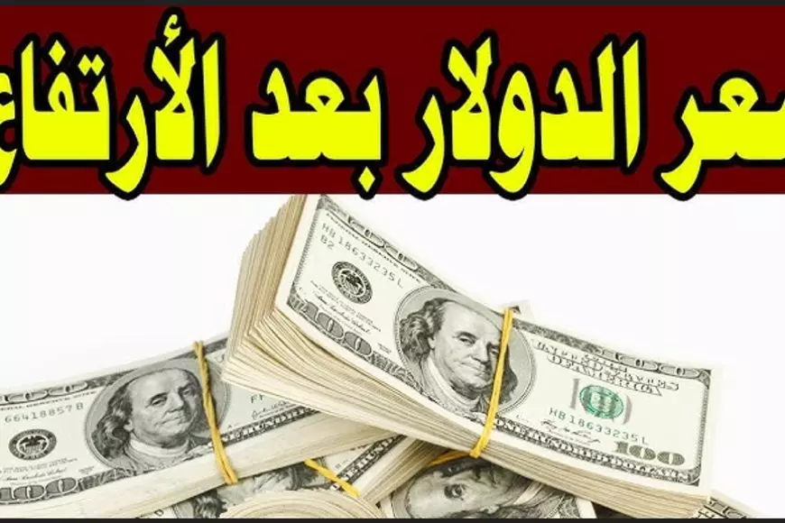 الامريكي طاير.. سعر الدولار اليوم في السوق السوداء مقابل الجنيه المصري الاربعاء 12 فبراير 2025 اسعار الدولار في البنك الاهلي وبنك مصر