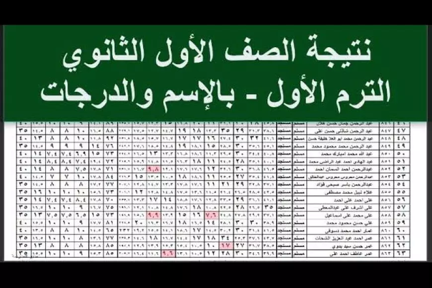 استعلم دلوقتي.. نتيجة أولى ثانوي الترم الأول 2025 في الجيزة برقم الجلوس على موقع مديرية التربية والتعليم