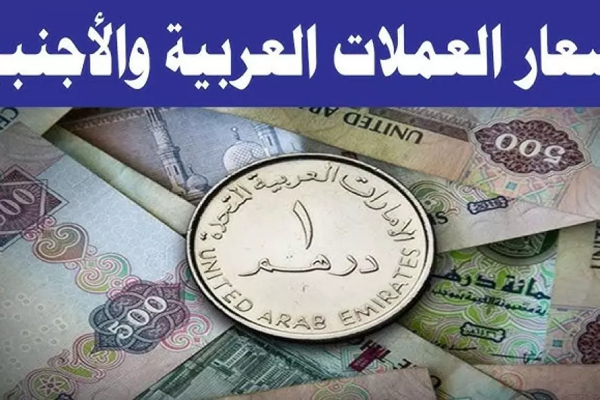 أسعار العملات اليوم في السوق السوداء في مصر الثلاثاء 11 فبراير 2025 سعر الدولار واليورو والريال