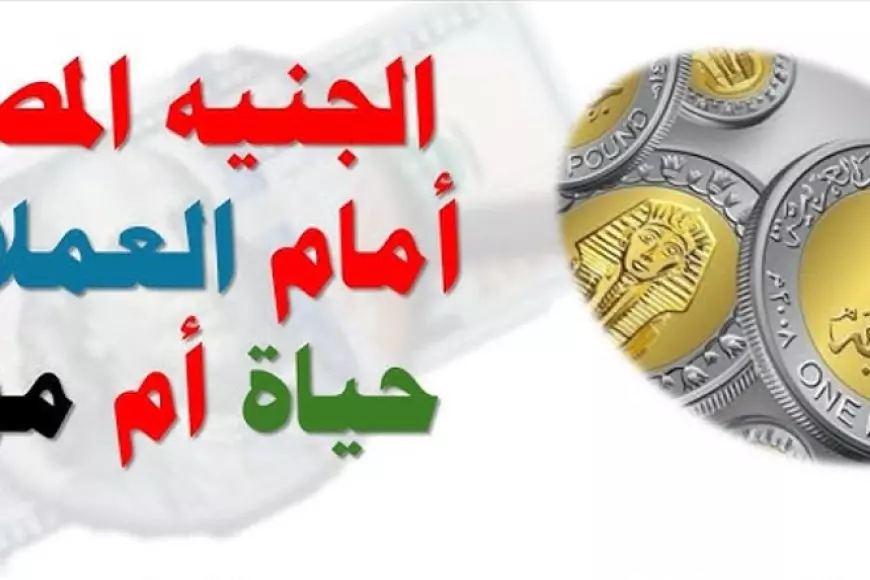 اسعار العملات اليوم في مصر في السوق السوداء السبت 1 فبراير 2025 وفق آخر تحديث  في البنك المركزي