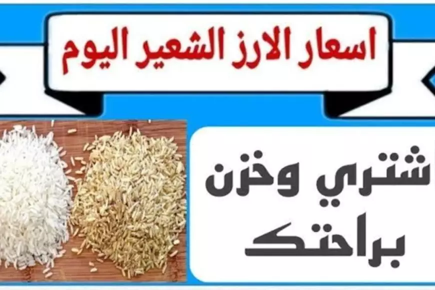 سعر طن الأرز الشعير اليوم الاثنين 3 فبراير 2025 اسعار الارز عريض ورفيع الحبه في الاسواق المصرية