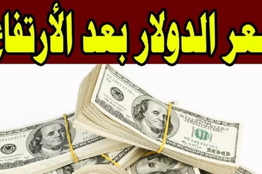 سعر الدولار اليوم في السوق السوداء مقابل الجنيه المصري الجمعة 7 فبراير 2025 اسعار الدولار في البنوك