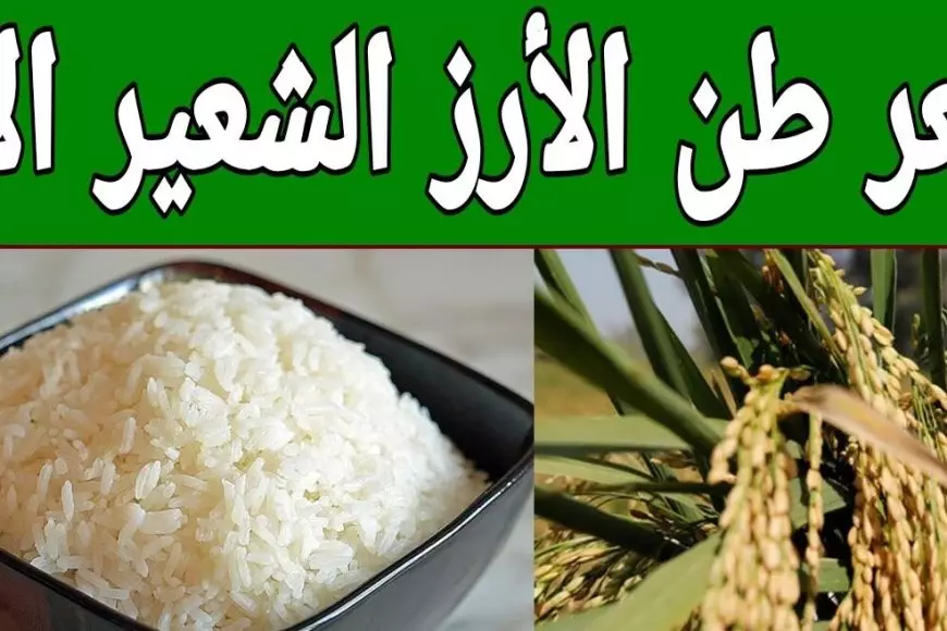 رفيع والعريض الحبه.. سعر طن الأرز الشعير اليوم الأربعاء 12 فبراير 2025 اسعار الارز في الاسواق للمستهلك