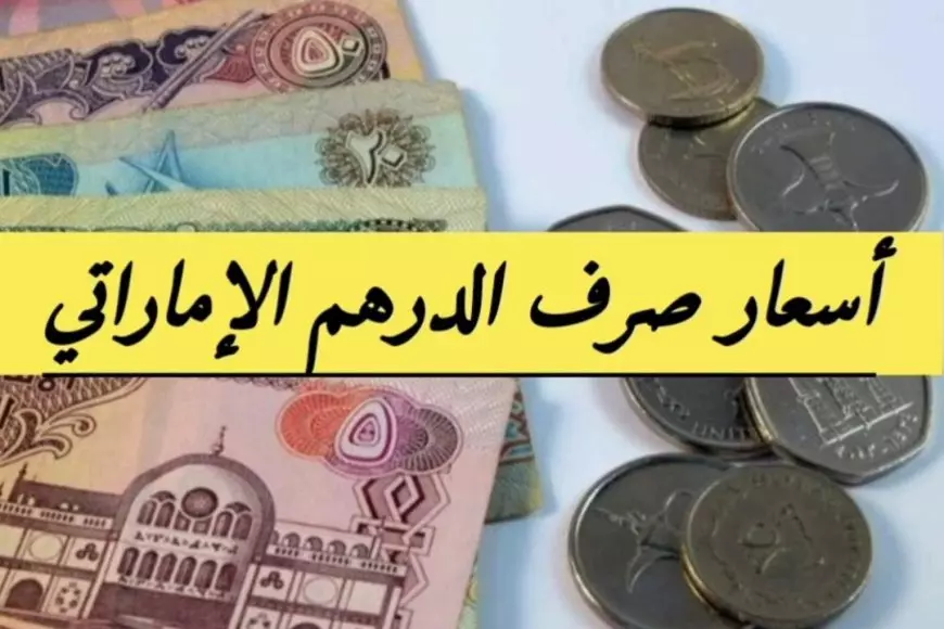 سعر الدرهم الإماراتي اليوم مقابل الجنيه المصري الثلاثاء 25 فبراير 2025 وفق اخر تحديث في البنوك المحلية والسوق السوداء