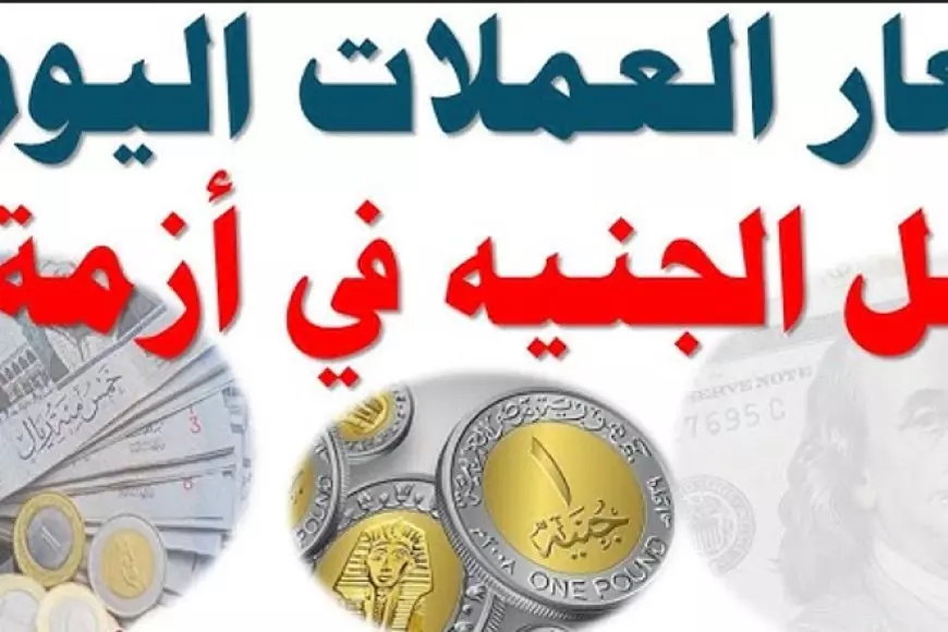 اسعار العملات اليوم مقابل الجنيه المصري في السوق السوداء في مصر الجمعة 7 فبراير 2025 حالة تذبذب في البنوك