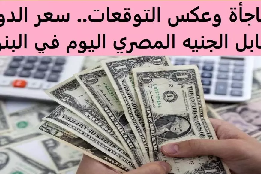 سعر الدولار اليوم في السوق السوداء الاربعاء 5 فبراير 2025 مقابل الجنيه المصري في البنوك