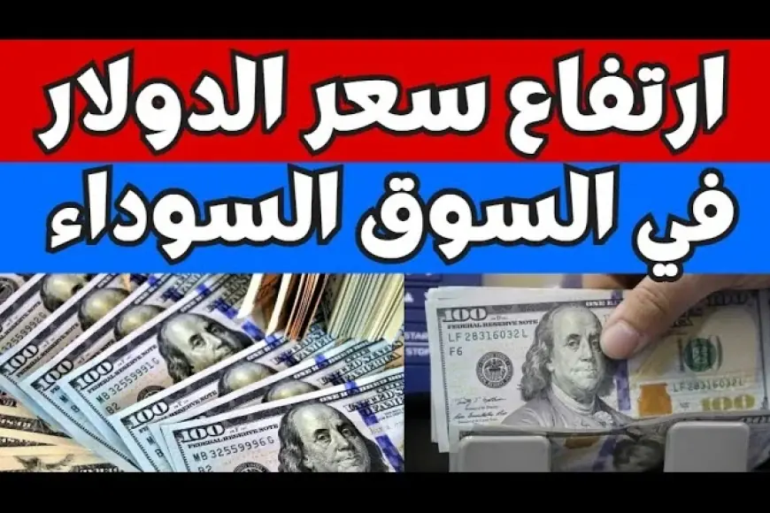 هيعدي الـ 50 ولا لأ؟ اعرف سعر الدولار اليوم في السوق السوداء الاثنين 5 أغسطس 2024 مقابل الجنيه المصري