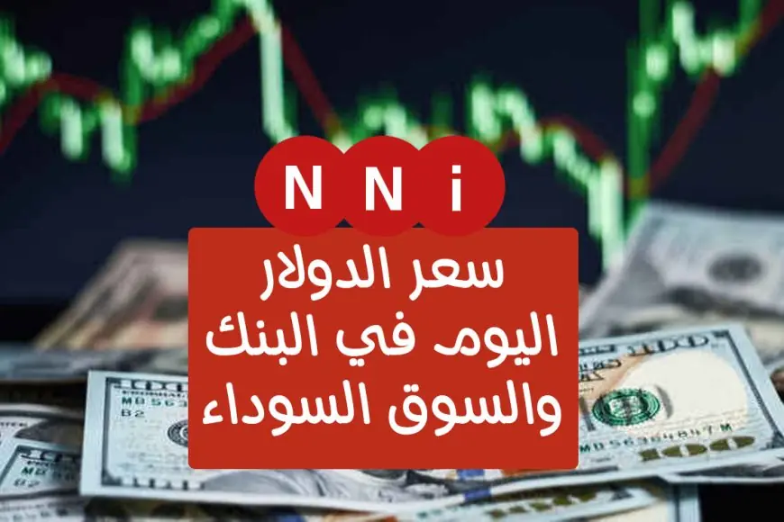 الدولار ضرب في العالي النهاردة؟.. اعلي سعر للدولار اليوم في السوق السوداء مقابل الجنيه المصري الثلاثاء 23 يوليو 2024